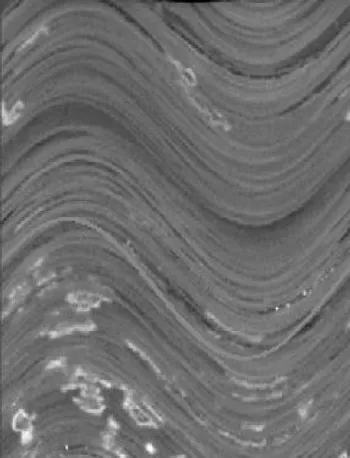 Unwrapped circumferential CT image showing curved traces of internal bedding