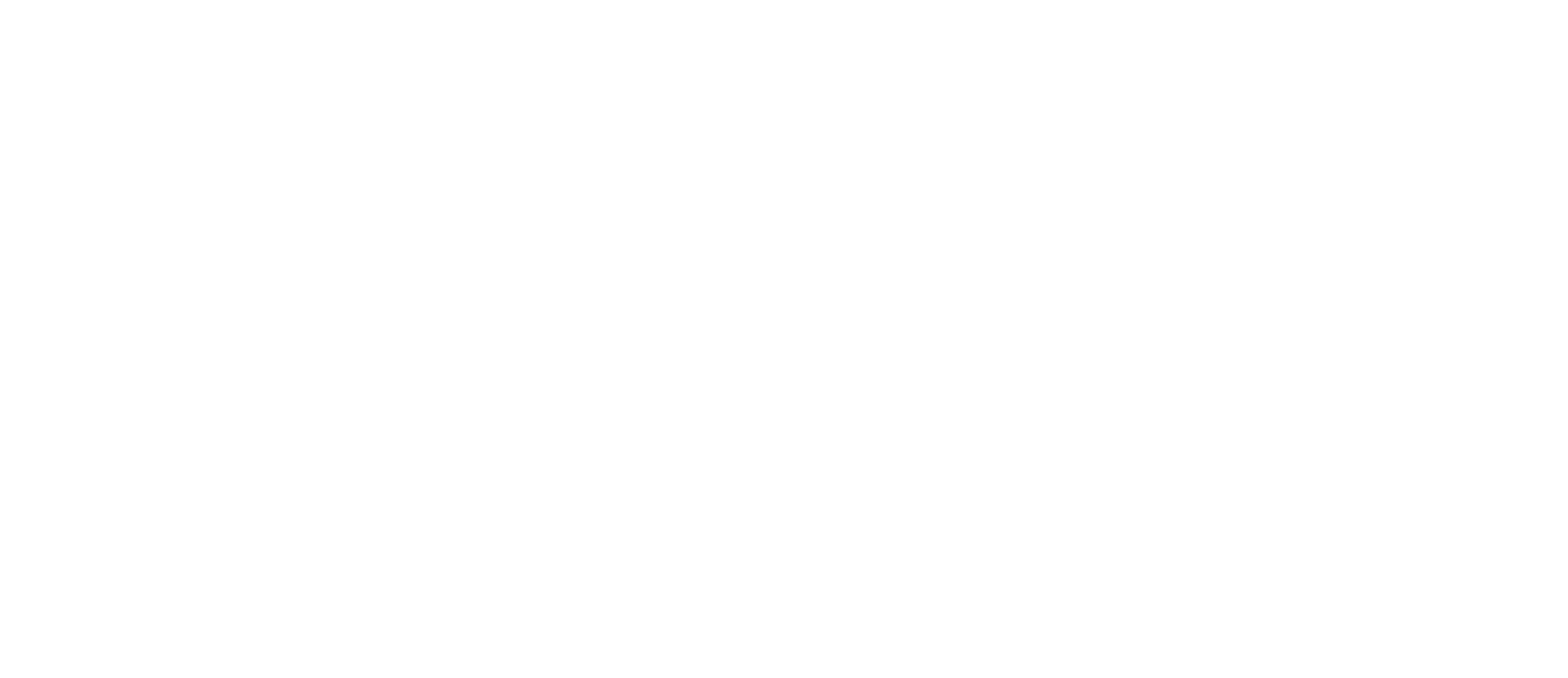 NEO Next+ logo