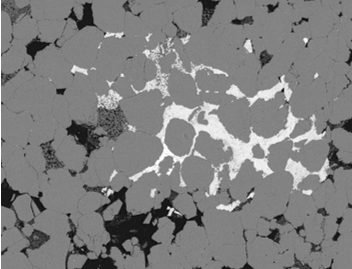 BSE image