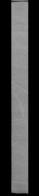 Real longitudinal CT section through the demonstration core